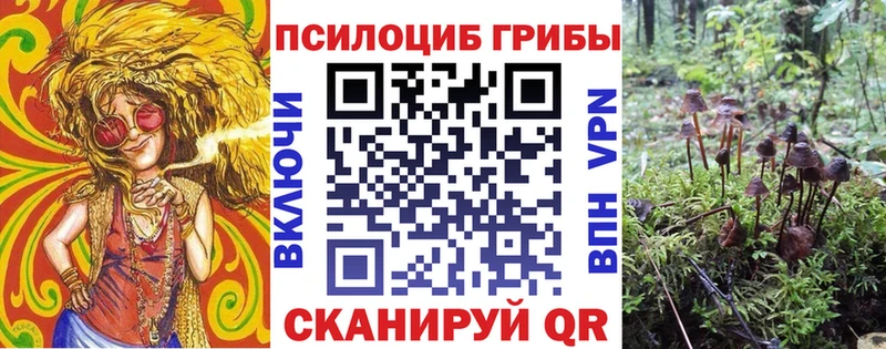 маркетплейс Telegram  Белозерск  Псилоцибиновые грибы прущие грибы 